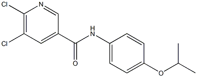 5,6-dichloro-N-[4-(propan-2-yloxy)phenyl]pyridine-3-carboxamide Struktur