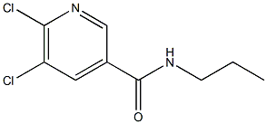 5,6-dichloro-N-propylpyridine-3-carboxamide Struktur