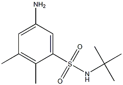 5-amino-N-tert-butyl-2,3-dimethylbenzene-1-sulfonamide Struktur