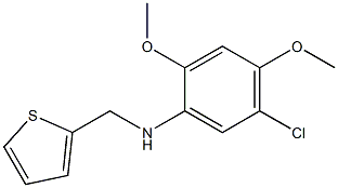 5-chloro-2,4-dimethoxy-N-(thiophen-2-ylmethyl)aniline Struktur