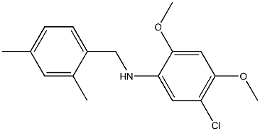 5-chloro-N-[(2,4-dimethylphenyl)methyl]-2,4-dimethoxyaniline Struktur