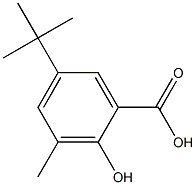 5-tert-butyl-2-hydroxy-3-methylbenzoic acid Struktur