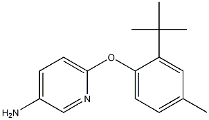 6-(2-tert-butyl-4-methylphenoxy)pyridin-3-amine Struktur