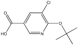 6-(tert-butoxy)-5-chloropyridine-3-carboxylic acid Struktur