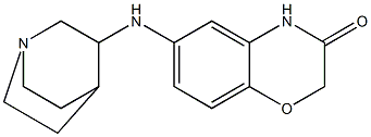 6-{1-azabicyclo[2.2.2]octan-3-ylamino}-3,4-dihydro-2H-1,4-benzoxazin-3-one Struktur