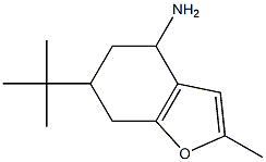 6-tert-butyl-2-methyl-4,5,6,7-tetrahydro-1-benzofuran-4-amine Struktur