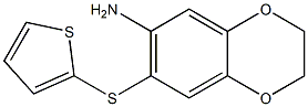 7-(thiophen-2-ylsulfanyl)-2,3-dihydro-1,4-benzodioxin-6-amine Struktur