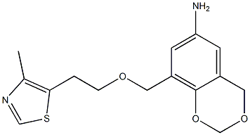 8-{[2-(4-methyl-1,3-thiazol-5-yl)ethoxy]methyl}-2,4-dihydro-1,3-benzodioxin-6-amine Struktur