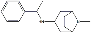 8-methyl-N-(1-phenylethyl)-8-azabicyclo[3.2.1]octan-3-amine Struktur