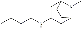 8-methyl-N-(3-methylbutyl)-8-azabicyclo[3.2.1]octan-3-amine Struktur