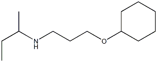 butan-2-yl[3-(cyclohexyloxy)propyl]amine Struktur