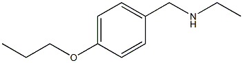 ethyl[(4-propoxyphenyl)methyl]amine Struktur