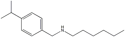 hexyl({[4-(propan-2-yl)phenyl]methyl})amine Struktur