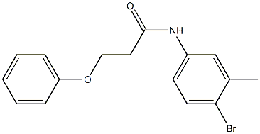 N-(4-bromo-3-methylphenyl)-3-phenoxypropanamide Struktur