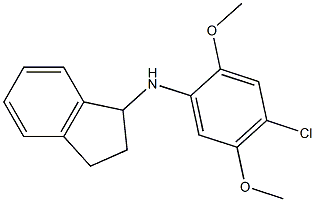 N-(4-chloro-2,5-dimethoxyphenyl)-2,3-dihydro-1H-inden-1-amine Struktur