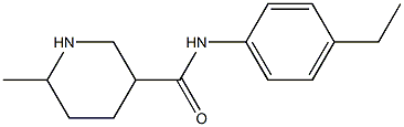 N-(4-ethylphenyl)-6-methylpiperidine-3-carboxamide Struktur