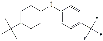 N-(4-tert-butylcyclohexyl)-4-(trifluoromethyl)aniline Struktur