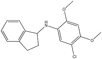 N-(5-chloro-2,4-dimethoxyphenyl)-2,3-dihydro-1H-inden-1-amine Struktur