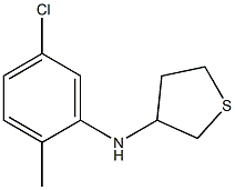 N-(5-chloro-2-methylphenyl)thiolan-3-amine Struktur