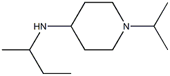 N-(butan-2-yl)-1-(propan-2-yl)piperidin-4-amine Struktur