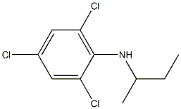 N-(butan-2-yl)-2,4,6-trichloroaniline Struktur