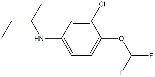 N-(butan-2-yl)-3-chloro-4-(difluoromethoxy)aniline Struktur