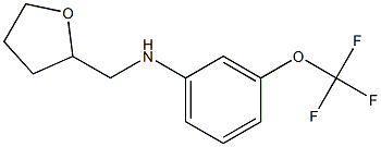 N-(oxolan-2-ylmethyl)-3-(trifluoromethoxy)aniline Struktur