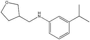 N-(oxolan-3-ylmethyl)-3-(propan-2-yl)aniline Struktur