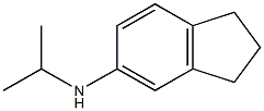 N-(propan-2-yl)-2,3-dihydro-1H-inden-5-amine Struktur