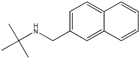 N-(tert-butyl)-N-(2-naphthylmethyl)amine Struktur