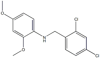 N-[(2,4-dichlorophenyl)methyl]-2,4-dimethoxyaniline Struktur