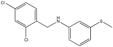 N-[(2,4-dichlorophenyl)methyl]-3-(methylsulfanyl)aniline Struktur