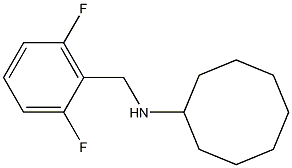 N-[(2,6-difluorophenyl)methyl]cyclooctanamine Struktur