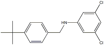 N-[(4-tert-butylphenyl)methyl]-3,5-dichloroaniline Struktur