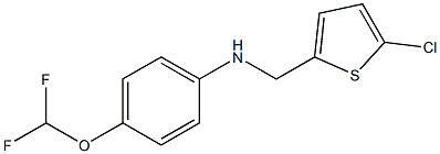 N-[(5-chlorothiophen-2-yl)methyl]-4-(difluoromethoxy)aniline Struktur