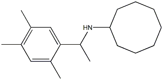 N-[1-(2,4,5-trimethylphenyl)ethyl]cyclooctanamine Struktur