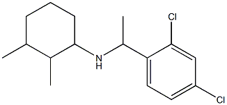 N-[1-(2,4-dichlorophenyl)ethyl]-2,3-dimethylcyclohexan-1-amine Struktur