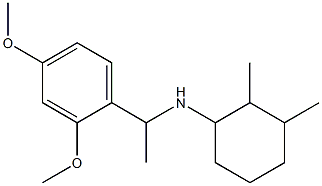 N-[1-(2,4-dimethoxyphenyl)ethyl]-2,3-dimethylcyclohexan-1-amine Struktur