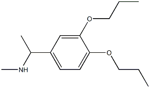 N-[1-(3,4-dipropoxyphenyl)ethyl]-N-methylamine Struktur