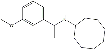 N-[1-(3-methoxyphenyl)ethyl]cyclooctanamine Struktur