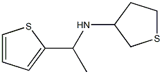 N-[1-(thiophen-2-yl)ethyl]thiolan-3-amine Struktur