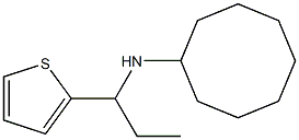 N-[1-(thiophen-2-yl)propyl]cyclooctanamine Struktur