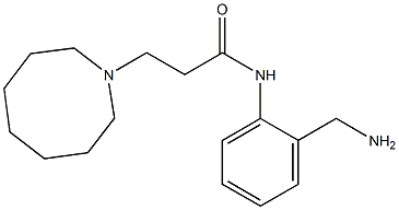 N-[2-(aminomethyl)phenyl]-3-(azocan-1-yl)propanamide Struktur