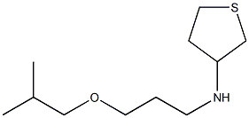 N-[3-(2-methylpropoxy)propyl]thiolan-3-amine Struktur