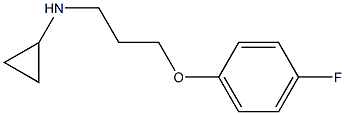 N-[3-(4-fluorophenoxy)propyl]cyclopropanamine Struktur