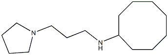 N-[3-(pyrrolidin-1-yl)propyl]cyclooctanamine Struktur