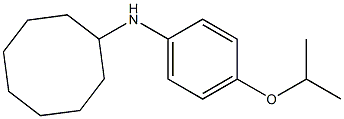 N-[4-(propan-2-yloxy)phenyl]cyclooctanamine Struktur