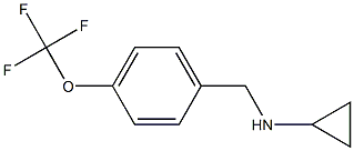 N-[4-(trifluoromethoxy)benzyl]cyclopropanamine Struktur