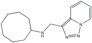 N-{[1,2,4]triazolo[3,4-a]pyridin-3-ylmethyl}cyclooctanamine Struktur