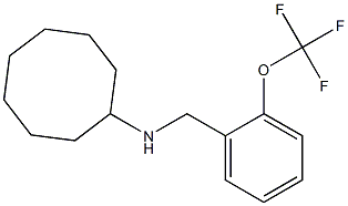 N-{[2-(trifluoromethoxy)phenyl]methyl}cyclooctanamine Struktur